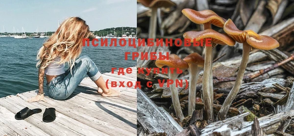 соль курить ск Алексеевка