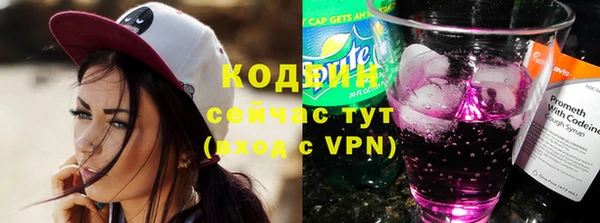 прущие грибы Алзамай